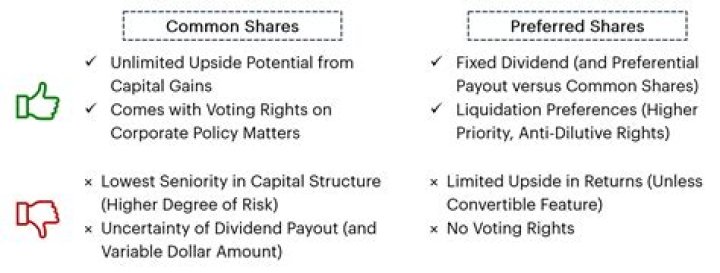 What is preferred share and common share?
