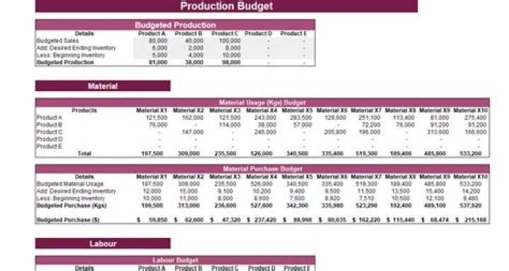 What is production budget used for?