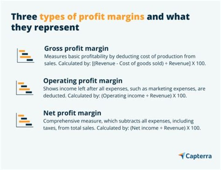 What is profit margin example?