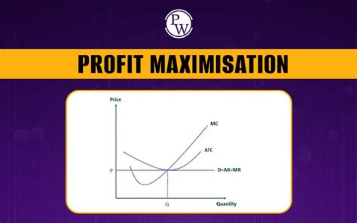 What is profit maximization meaning?