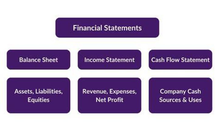 What is publish financial statement?