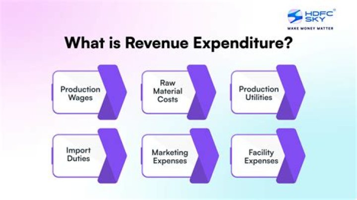 What is revenue expenditure and example?