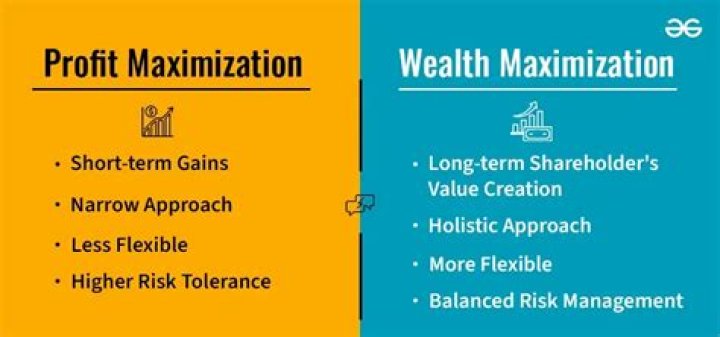 What is stockholder wealth maximization?