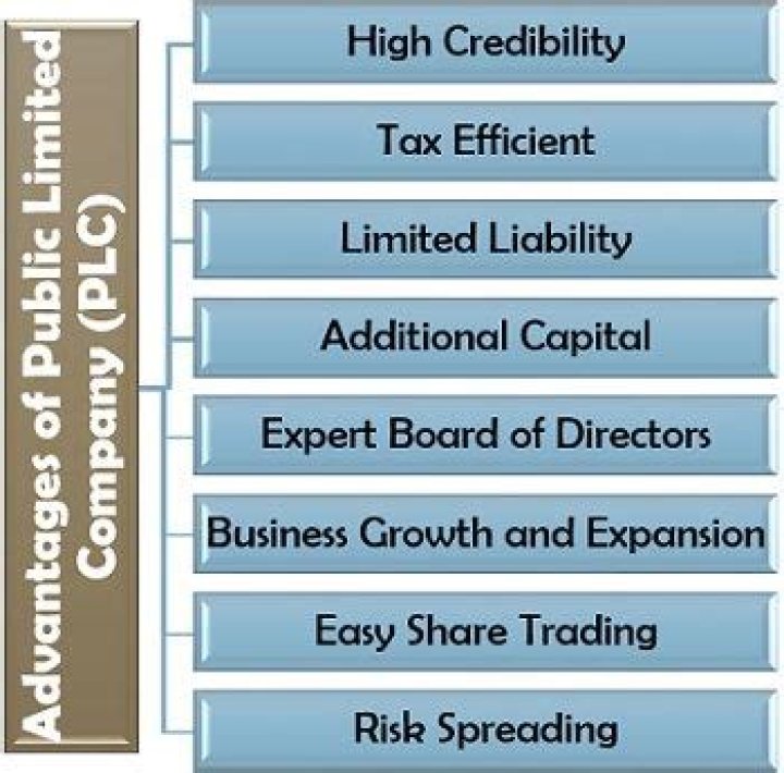 What is the advantages of public limited company?