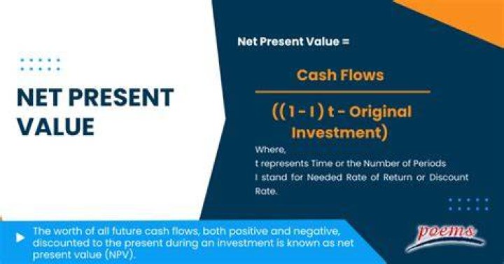What is the basic net present value NPV investment rule?