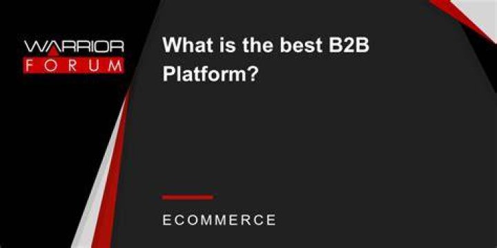 What is the best B2B platform?