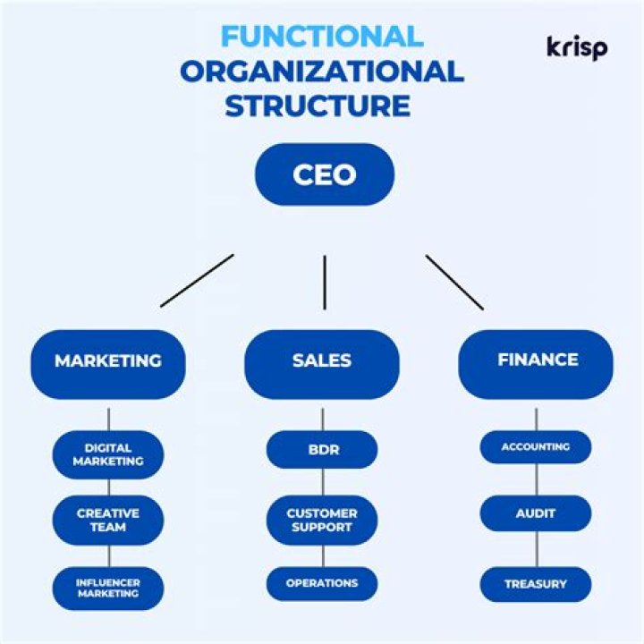 What is the best business organizational structure?