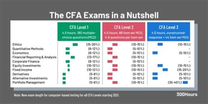 What is the CFA exam?