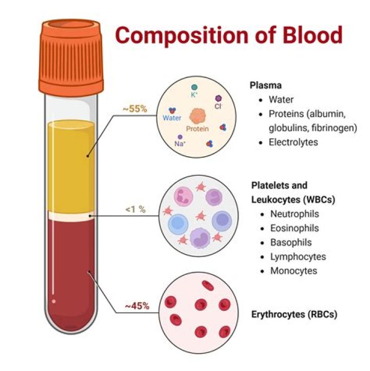 What is the composition of JJB?