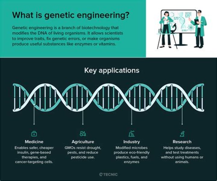 What is the cost of genetic engineering?
