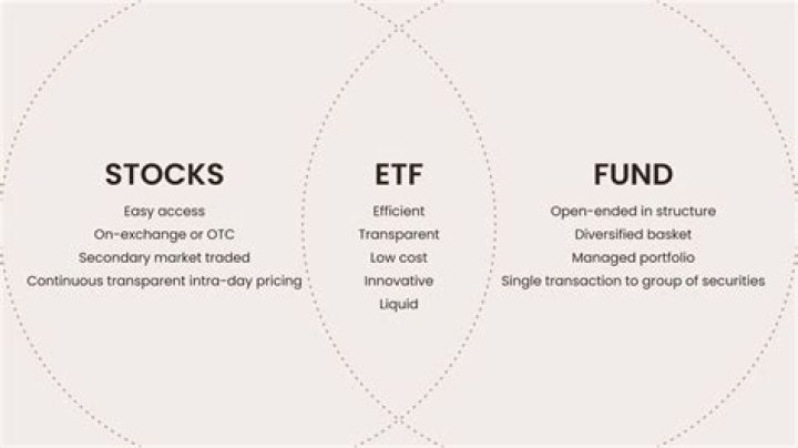 What is the difference between a stock and an Exchange Traded Fund?