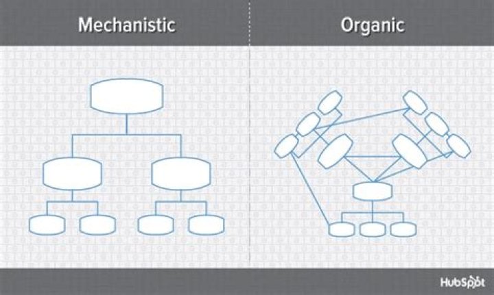 What is the difference between mechanistic and organic Organisation?