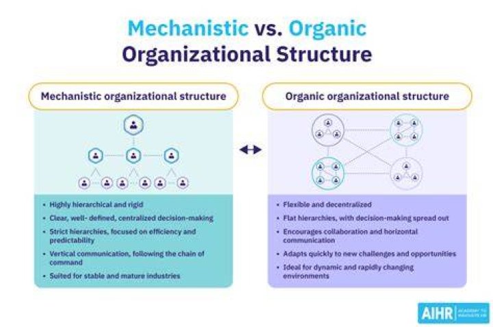 What is the difference between mechanistic and organic structure?