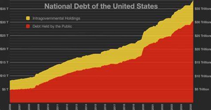 What is the difference between public debt and intragovernmental holdings?