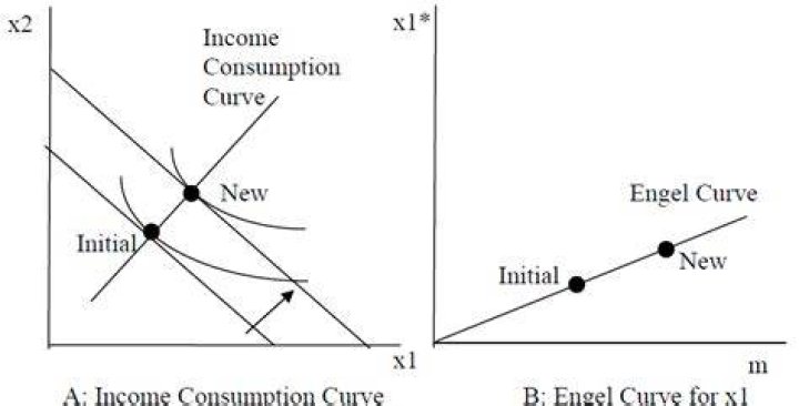 What is the difference between the Engel curve and the income consumption curve?