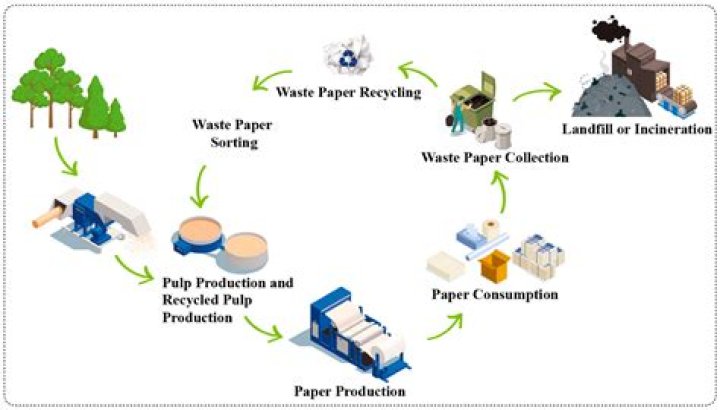 What is the environmental impact of paper production?