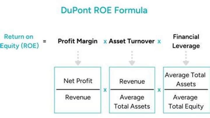 What is the formula of DuPont based ROE calculation?