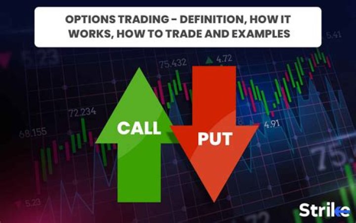 What is the full meaning of option?