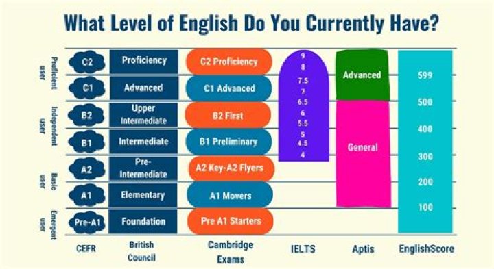What is the highest level of accounting?