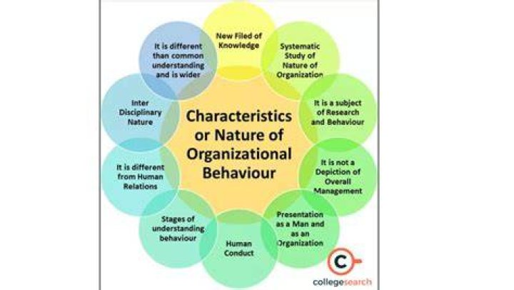 What is the historical background of the study of organizational Behaviour?