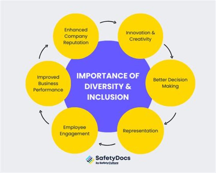 What is the importance of diversity management?