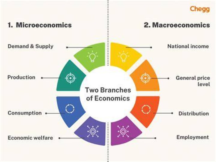 What is the importance of economics?