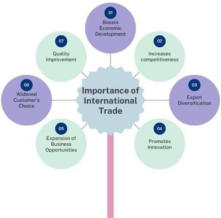 What is the importance of international trade class 10?