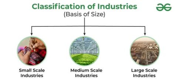 What is the investment limit for medium scale industry?