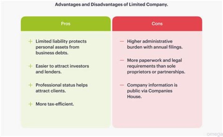 What is the main advantage that a public limited company has over a private limited company?