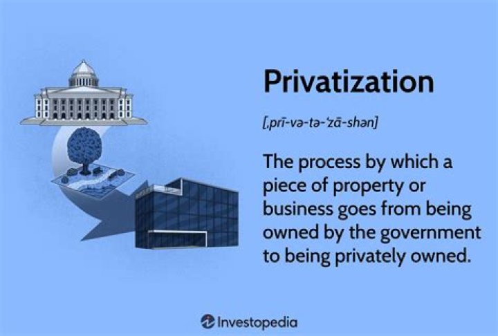 What is the main argument for privatization?