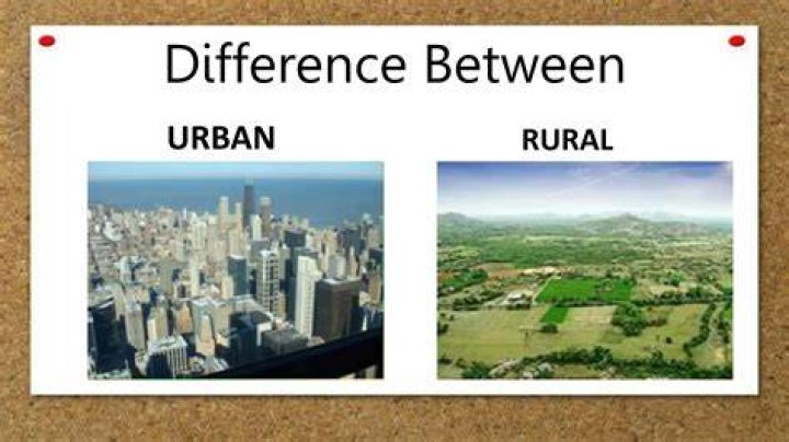 What is the main difference between rural and urban settlements?