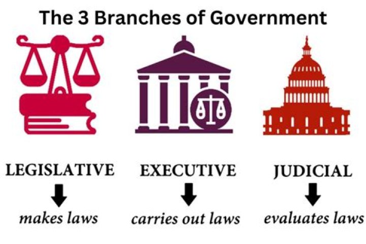 What is the main reason the government creates regulation?