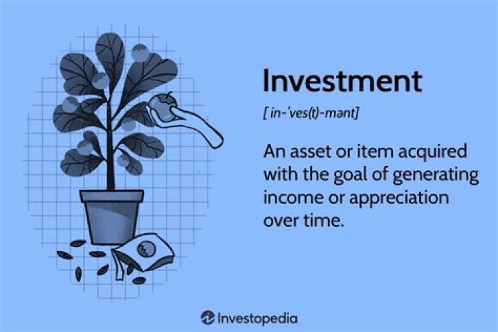 What is the meaning of finance and investment?