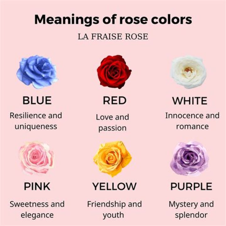 What is the meaning of Grose?