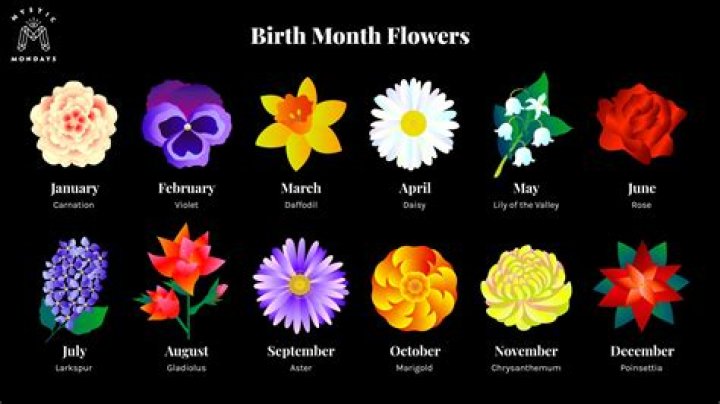 What is the meaning of month of May?