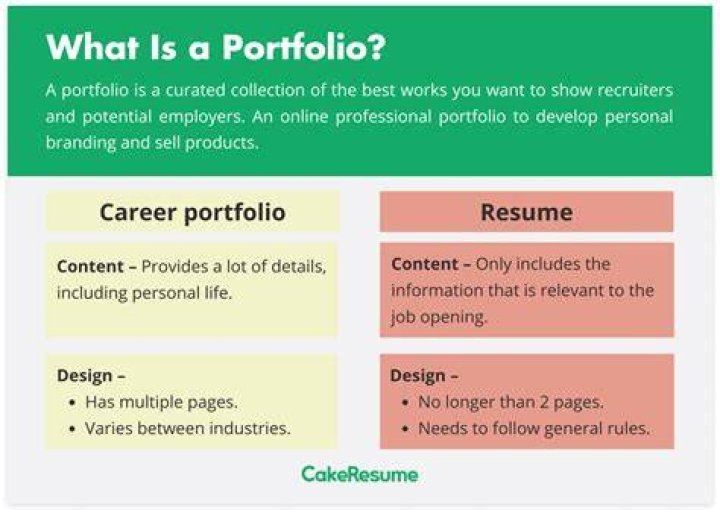 What is the meaning of portfolio company?