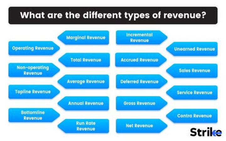 What is the meaning of revenue license?