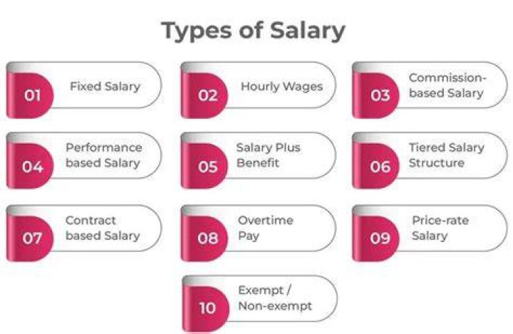 What is the meaning of salary in lieu?