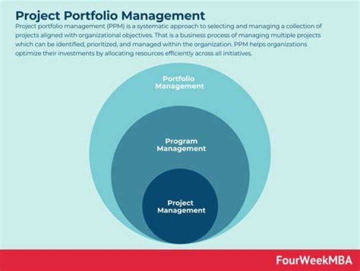 What is the most important principle of portfolio management?