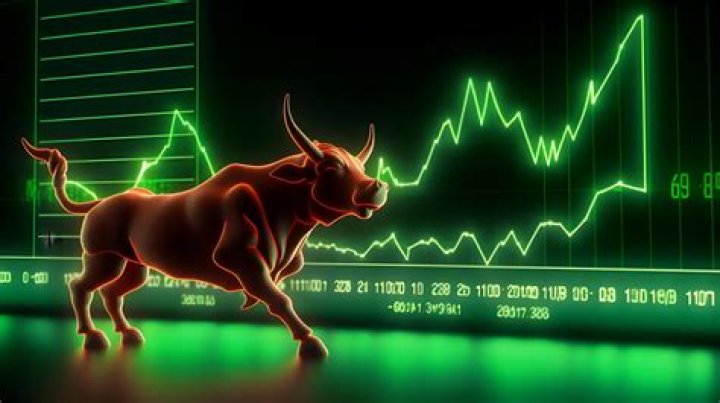 What is the name for the stock market?