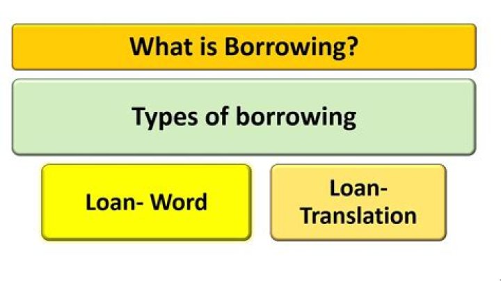 What is the net new borrowing?