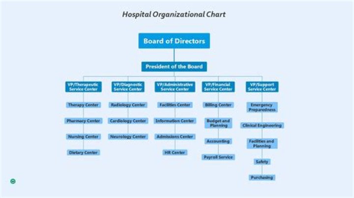 What is the organizational structure of a nursing home?