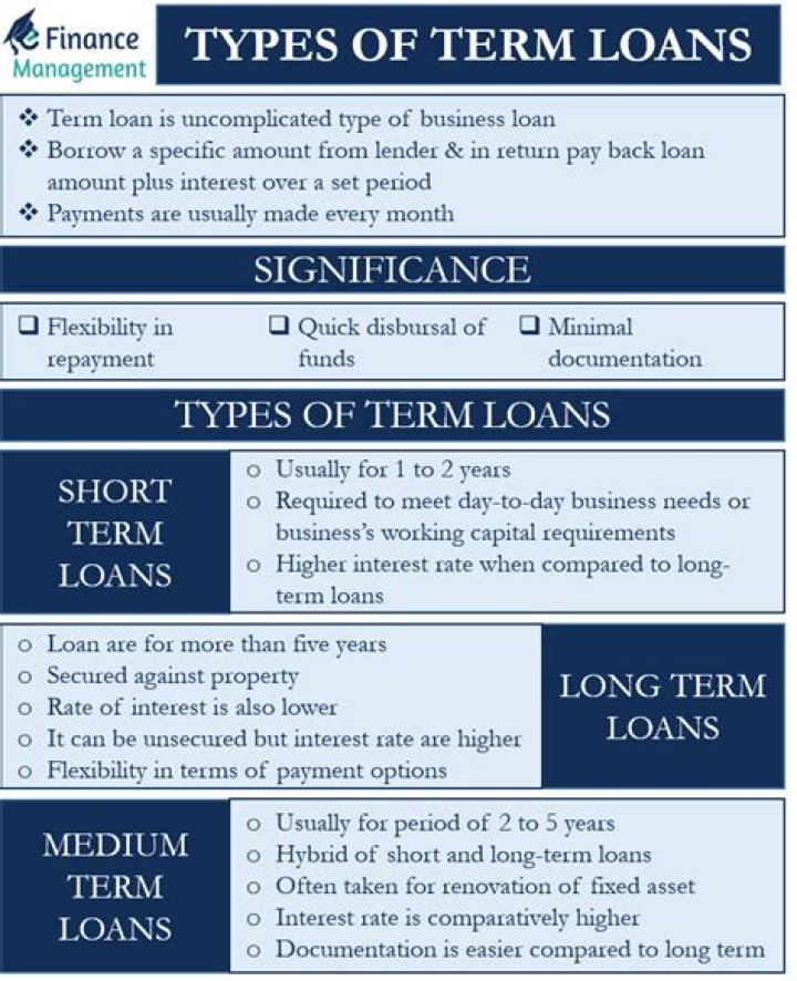 What is the period of term loan?