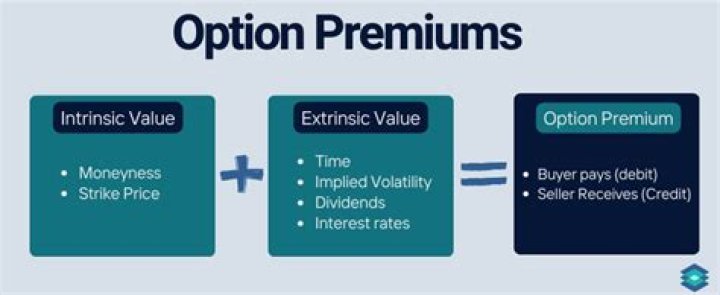 What is the premium on an option?