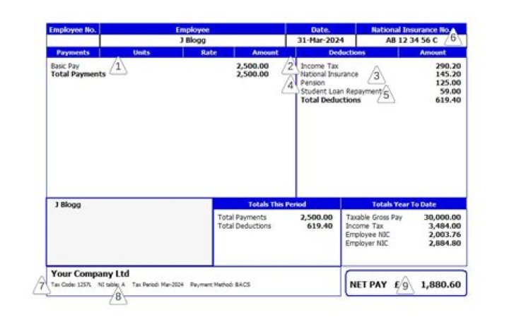 What is the process date on a payslip?