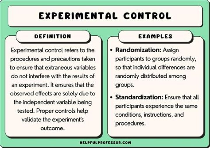 What is the purpose of a control in an experiment?