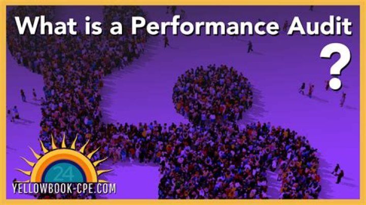 What is the purpose of a performance audit?