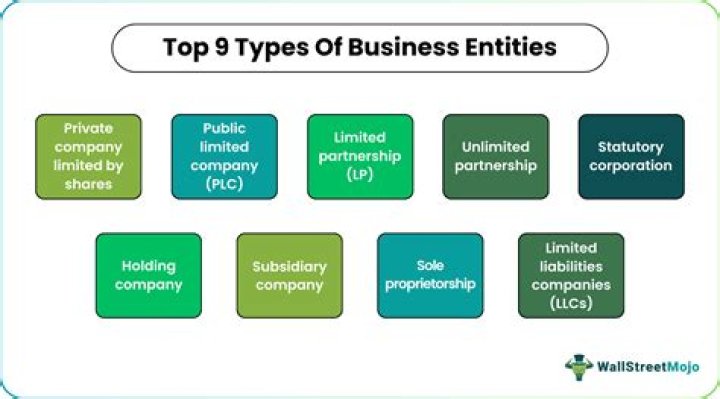 What is the purpose of forming a business entity?