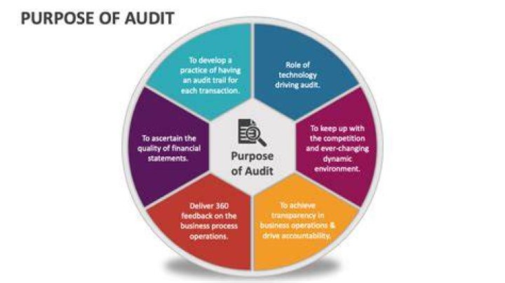 What is the purpose of special audit?