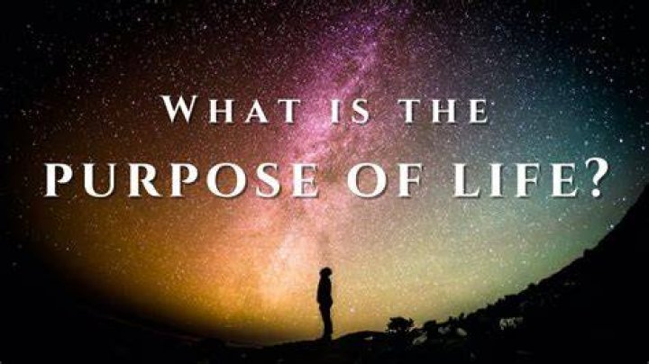 What is the purpose of the question of the day?